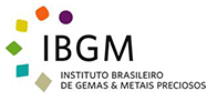 IBGM2