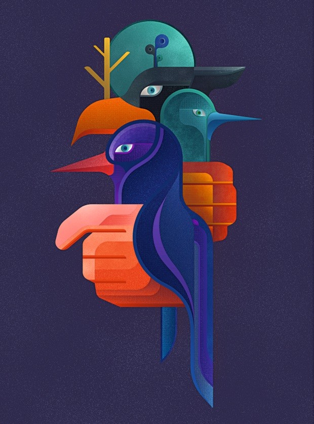 ilustracao-passaros-cj754_fabioissao_ajustado